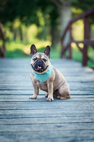Sziszi Photography szabadtéri esküvő szülinap esemény fotózás tolna baranya megye Szekszárd Pécs
