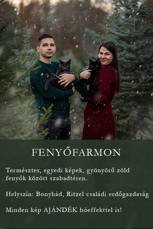 Sziszi Photography szabadtéri páros családi egyéni portré kiskedvenc élmény fotózás tolna baranya megye Szekszárd Pécs Karácsonyi fotózás stúdió otthon fenyőfarm Bonyhád Pécsvárad 2026 árlista csomagok kedvezmény