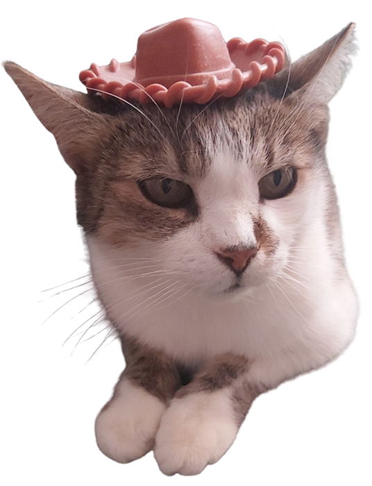 Sziszi Photography szabadtéri tavaszi nyári őszi téli fotózás tolna baranya megye Szekszárd Pécs